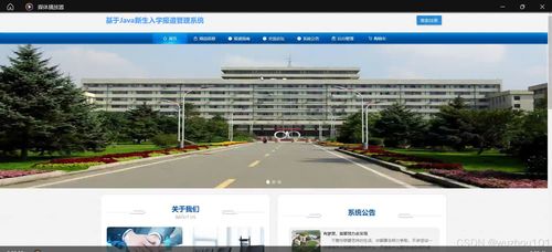 基于ssm vue基于新生入学报道管理系统